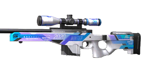 AWM "Winter Sport"